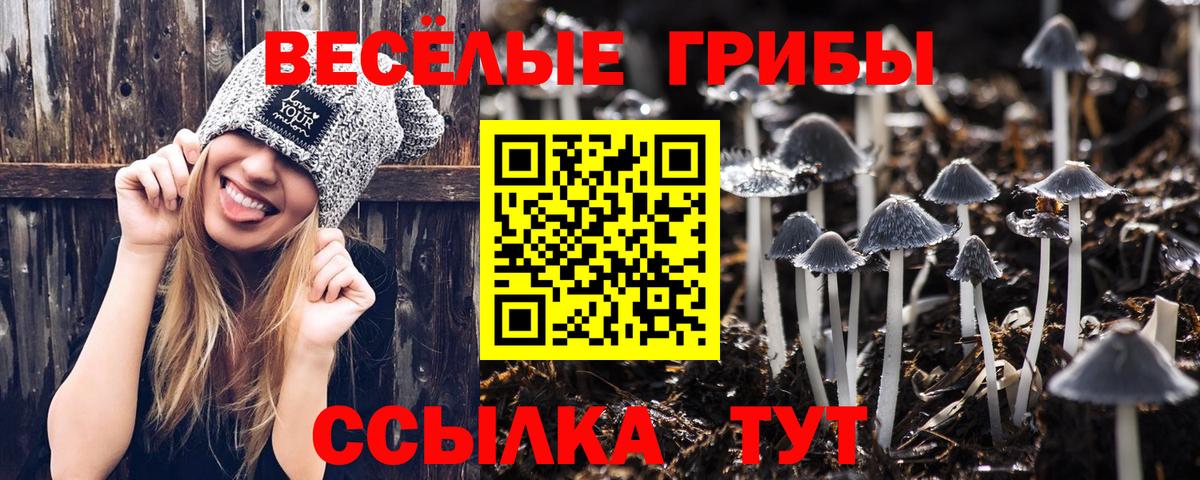 Псилоцибиновые грибы Magic Shrooms Татарск